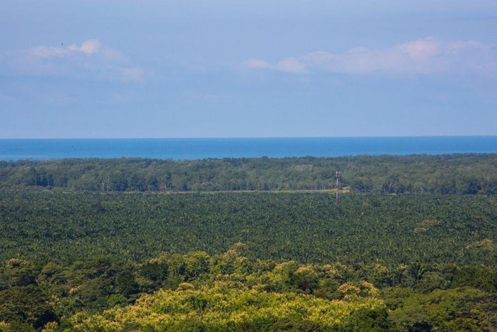 Villa Vista Hermosa - With Breathtaking Ocean View & Wifi Quepos Eksteriør bilde